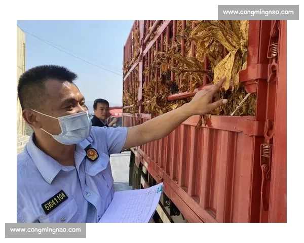 以追加处罚为核心完善违法行为责任追究与震慑机制新路径探索实践